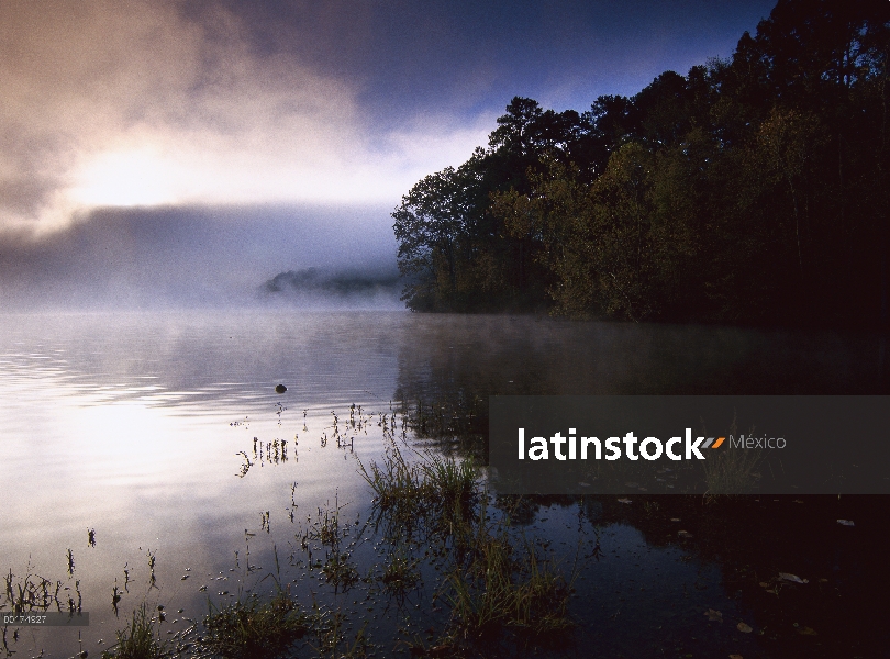 Niebla sobre el lago Catalina, Catherine Lake State Park, Arkansas