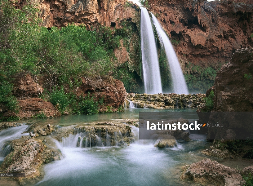 Havasu Creek que se alinea con los árboles de álamo, alimentadas por uno de sus tres cascadas, caída