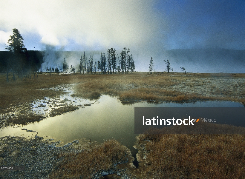 Aguas termales cerca del lago de la fuente, Parque Nacional de Yellowstone, Wyoming