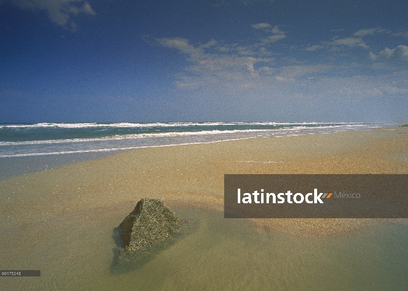 Matanzas, playa cerca el verano Haven, Florida