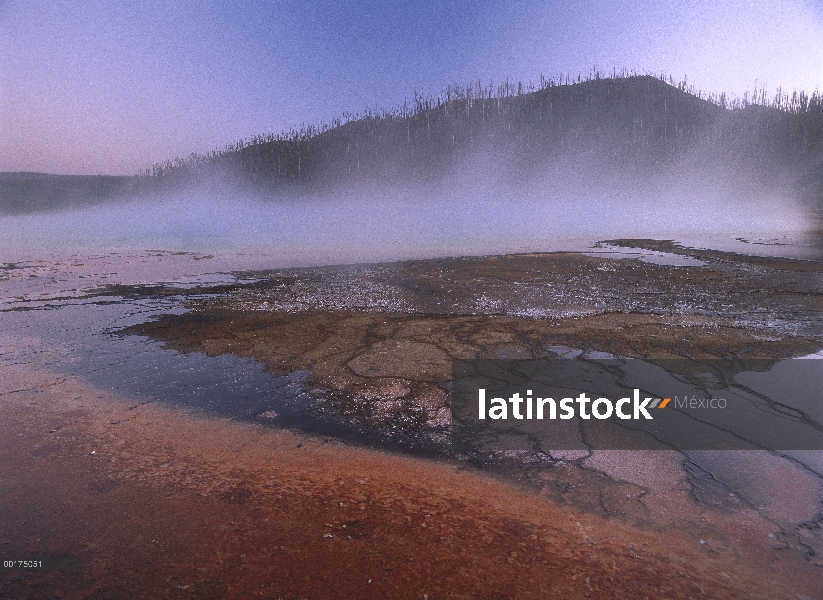 Vapor de gran piscina prismático en Midway Geyser Basin, Parque Nacional de Yellowstone, Wyoming