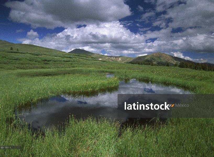 Cúmulos se reflejan en estanque Colorado paso de Guanella, bosque nacional Arapaho