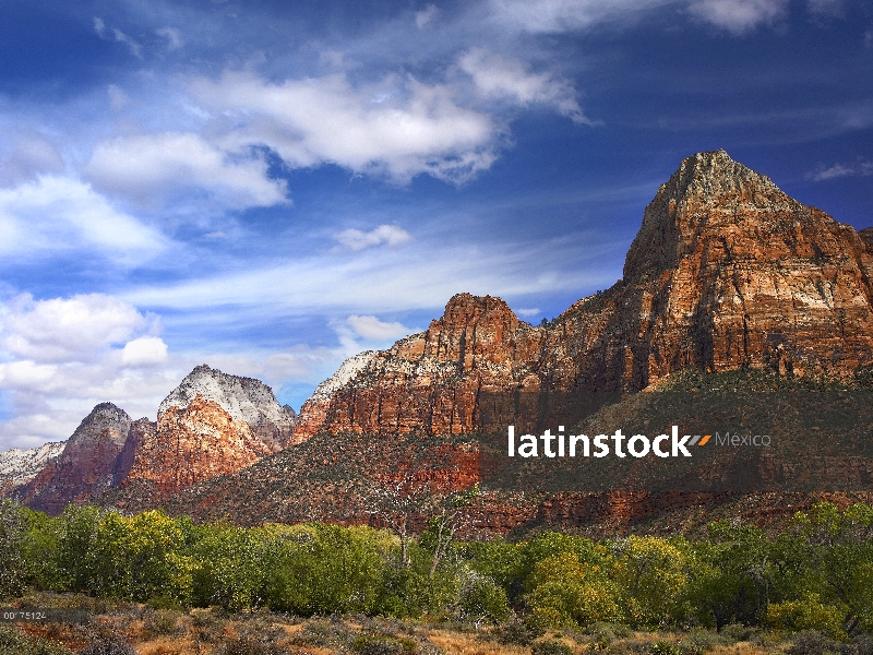 El vigilante, afloramiento cerca de la entrada sur del Parque Nacional de Zion, álamos en primer pla