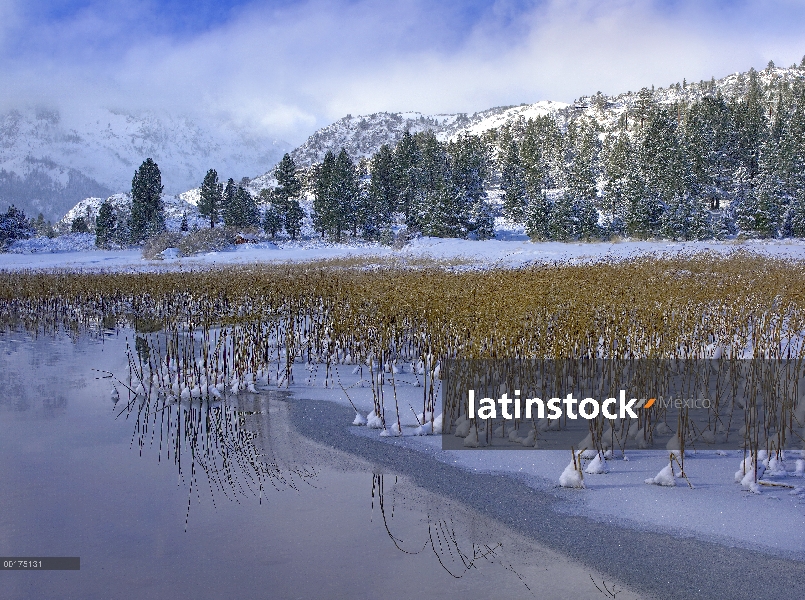 Lago de junio y claro tormenta, este de las montañas de Sierra Nevada, California