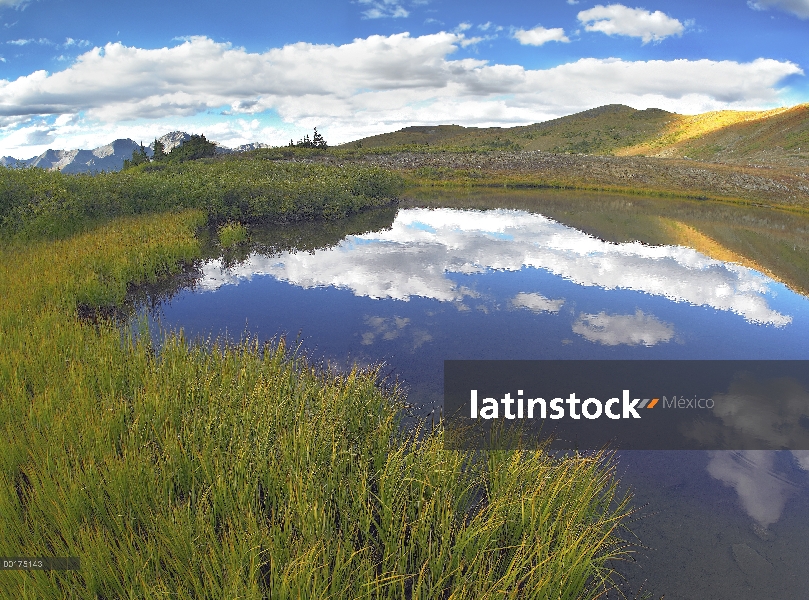 Nubes reflejan en el agua en Cottonwood Pass, montañas rocosas, Colorado