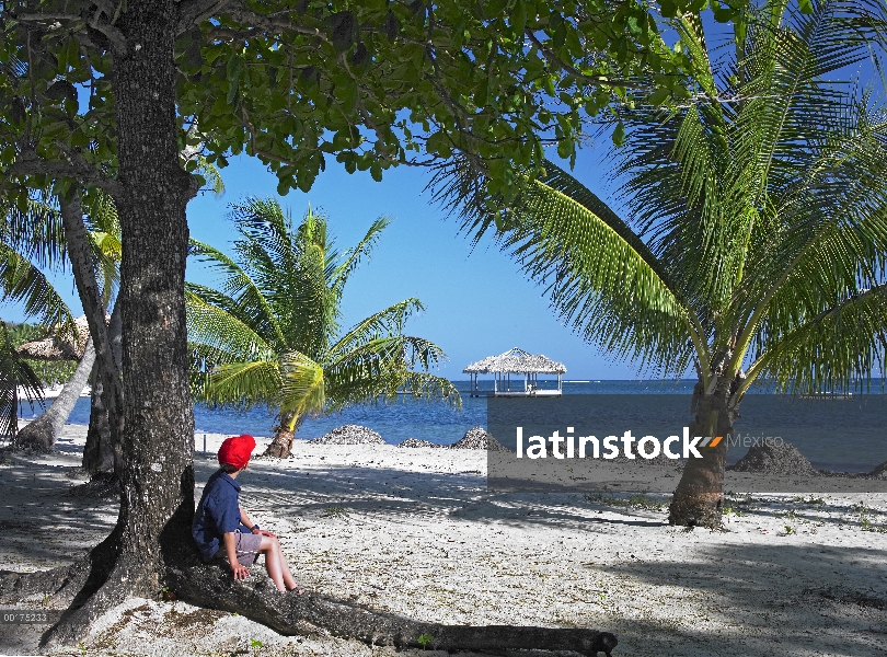 Turismo descansar bajo palmeras en playa de Palmetto Bay, Roatan Island, Honduras