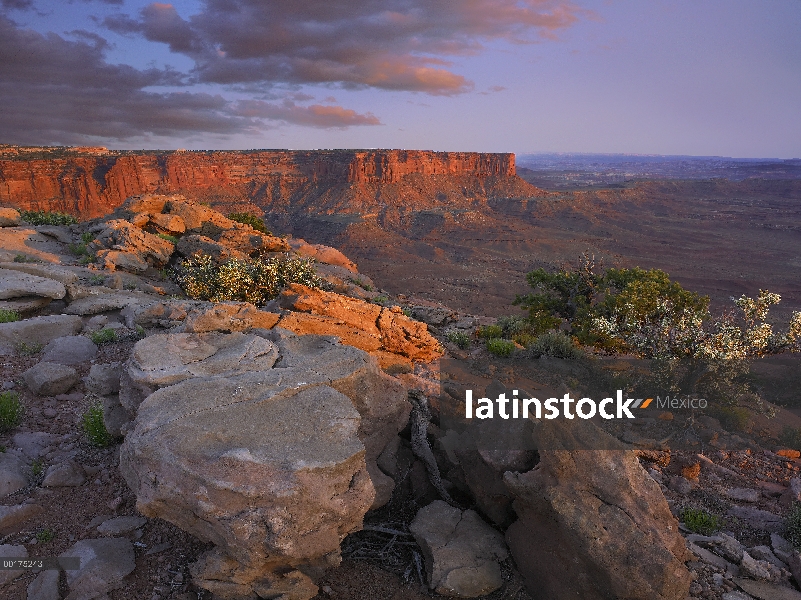 Dan de vista desde el río verde, Parque Nacional de Canyonlands, Utah