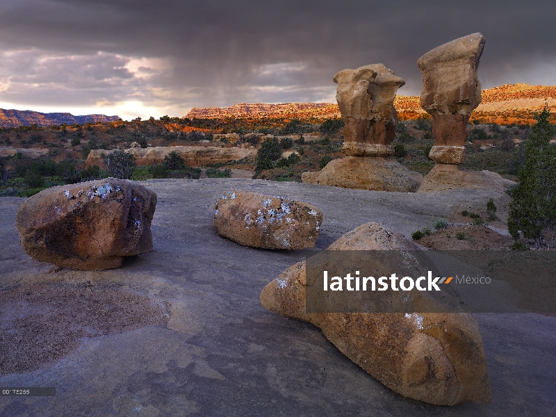 Jardín piedra arenisca las formaciones, Escalante National Monument, Utah del diablo