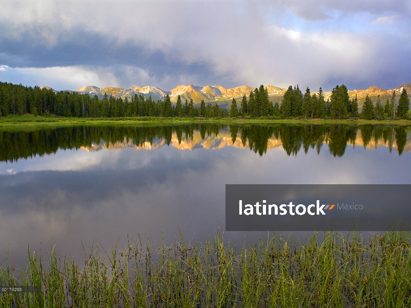 Montañas en el yermo de Weminuche reflejan en Molas Lake, Colorado