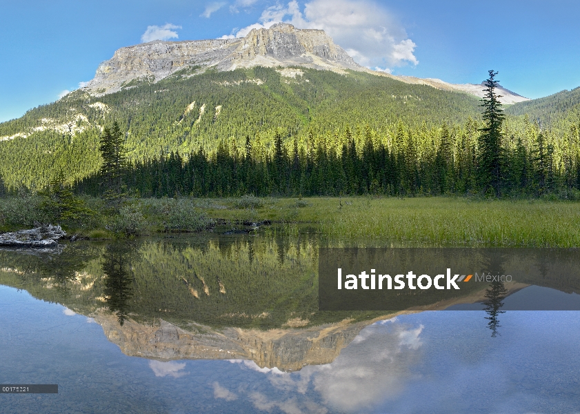 MT Burgess reflejada en el lago Esmeralda, Parque Nacional de Yoho, Colombia británico, Canadá