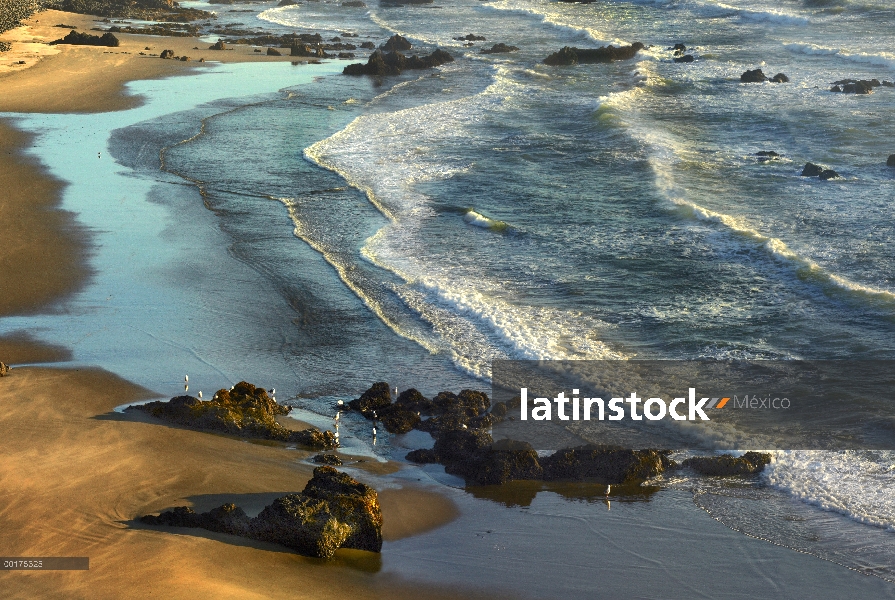 Ondas entrantes de playa de Bandon, Oregón