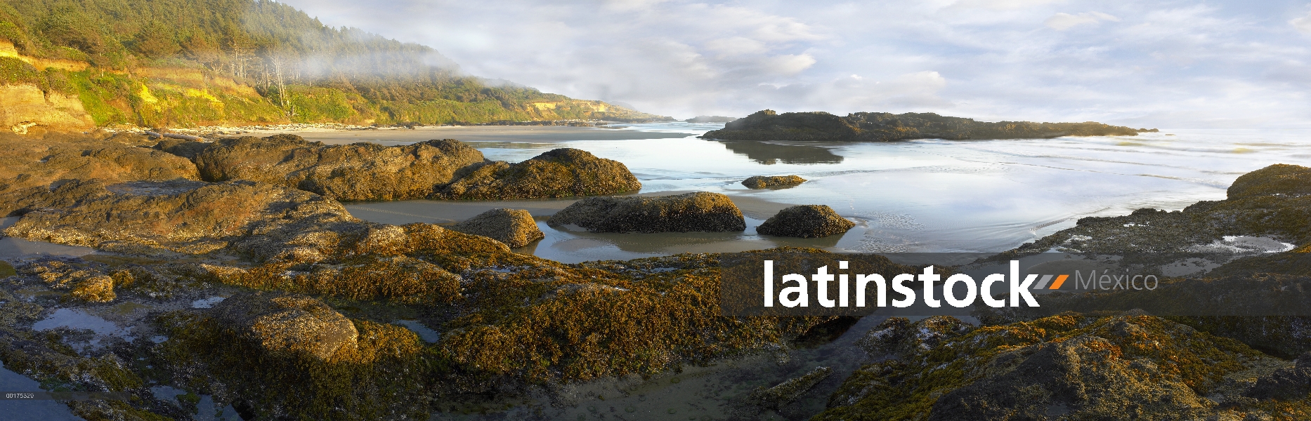 Panorama de Neptuno playa con piscinas de marea expuestas durante la marea baja, Oregon