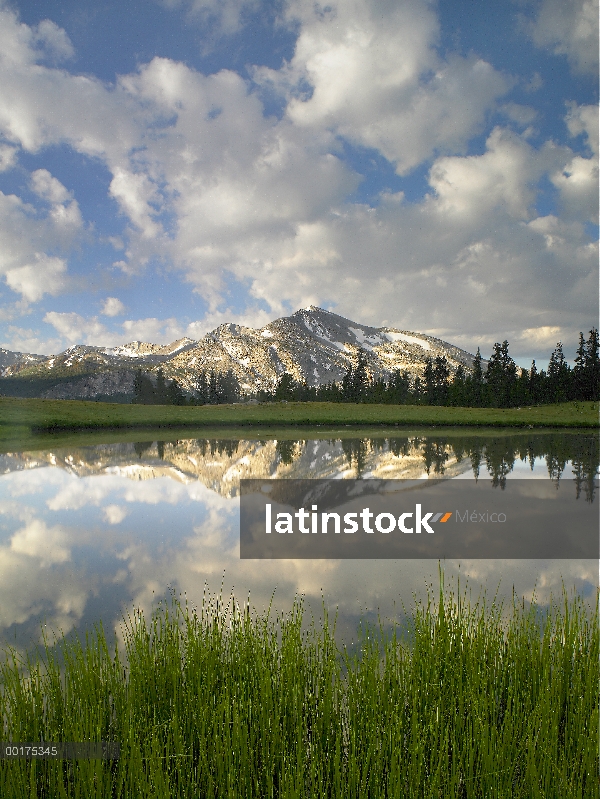 Pico de mamut y nubes dispersas en piscina en superior Dana Meadow, Parque Nacional de Yosemite, Cal