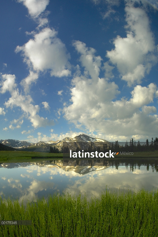 Pico de mamut y nubes dispersas reflejan piscina, superior Dana Meadow, Parque Nacional de Yosemite,