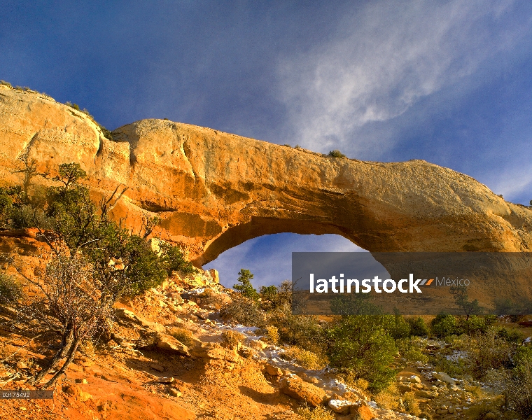 Arco de Wilson con un palmo de 91 pies y altura de 46 pies, de la carretera 191, de entrada asperón,