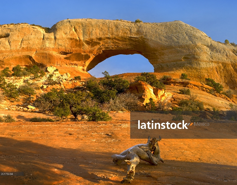 Arco de Wilson con un palmo de 91 pies y altura de 46 pies, de la carretera 191, de entrada asperón,