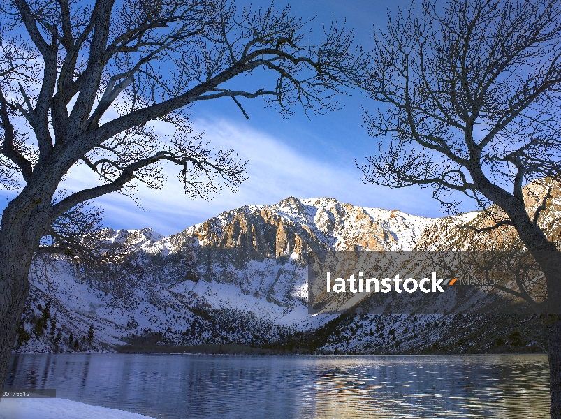 Laurel de la montaña y el lago condenado enmarcado por árboles estériles en invierno, Sierra Nevada,