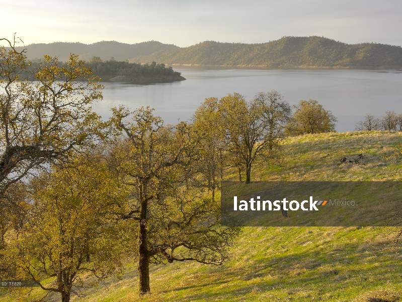 Lago de Melones nuevo rodeado de foothill bosques de robles, el embalse gestionado por proyecto de C