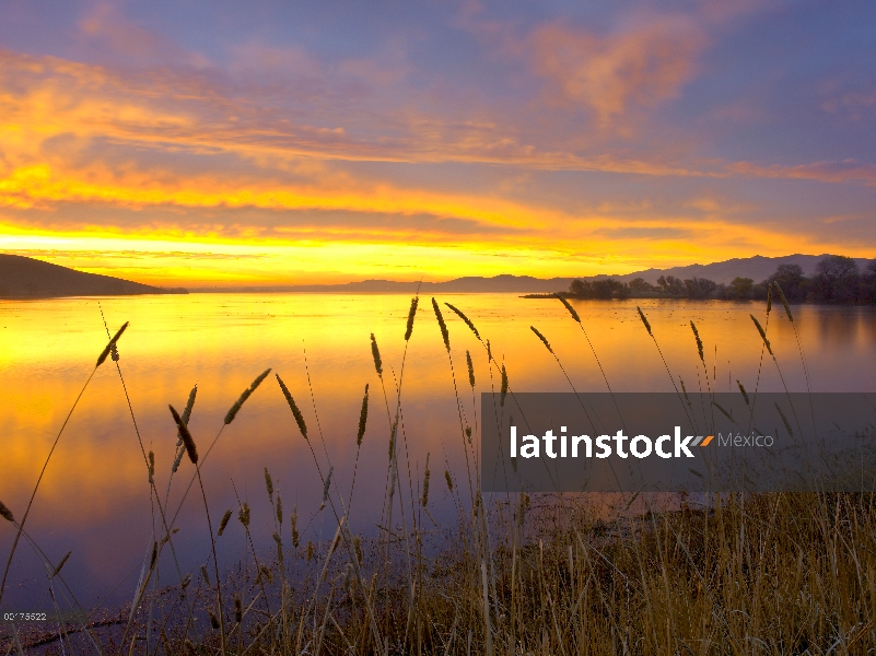 Amanecer en San Luis embalse, Valle de San Joaquín, California