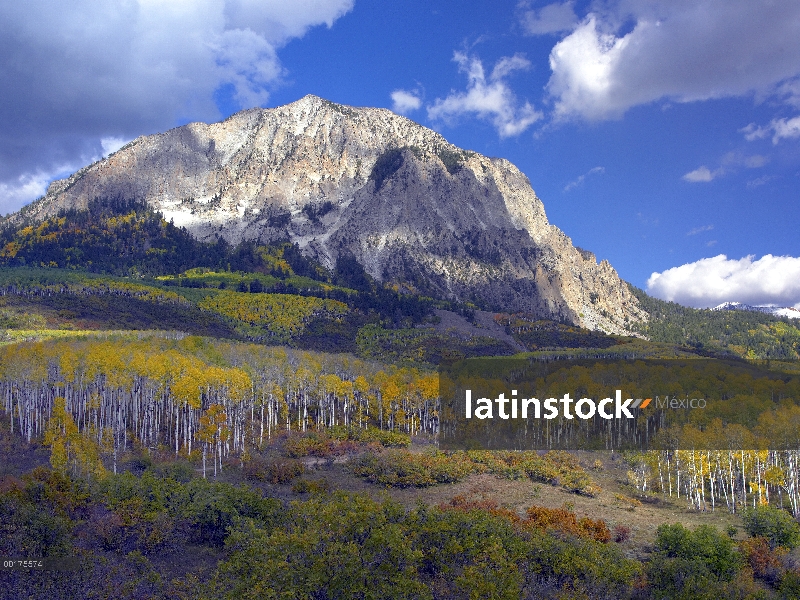 Colores de otoño en el bosque nacional de Gunnison, Colorado