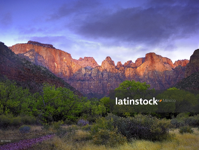 Torres de la Virgen, Parque Nacional de Zion, Utah