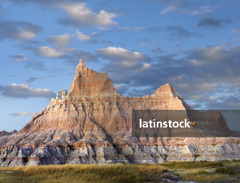 Estrías de la piedra arenisca y rasgos erosivos, el Parque Nacional Badlands, Dakota del sur