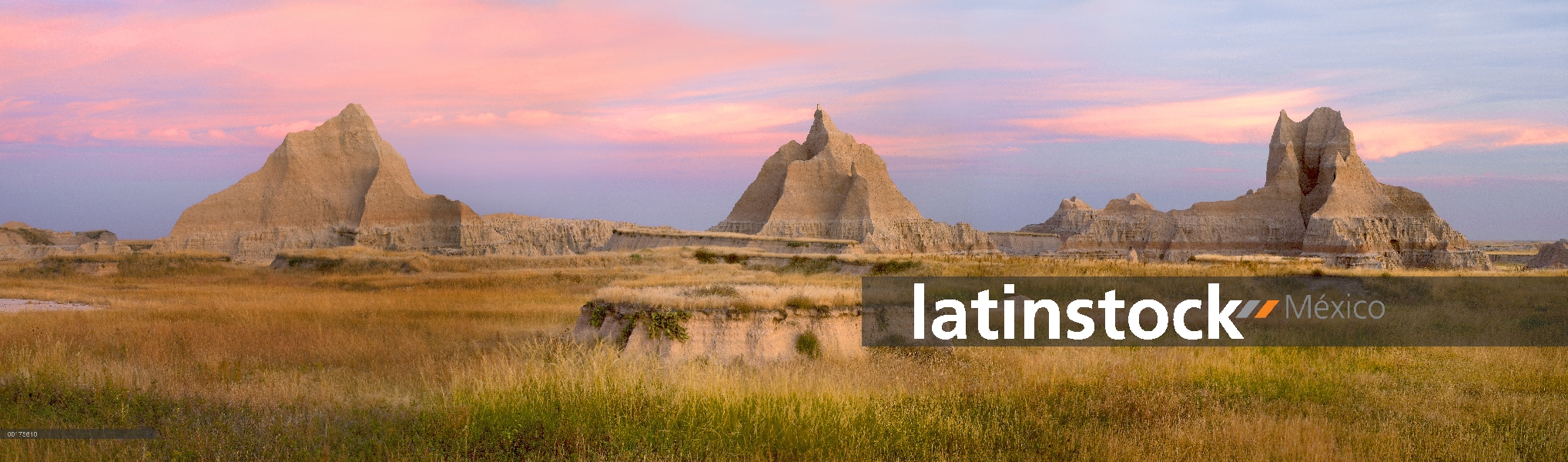 Paisaje que muestra características erosional en piedra arenisca en medio del Prado, el Parque Nacio