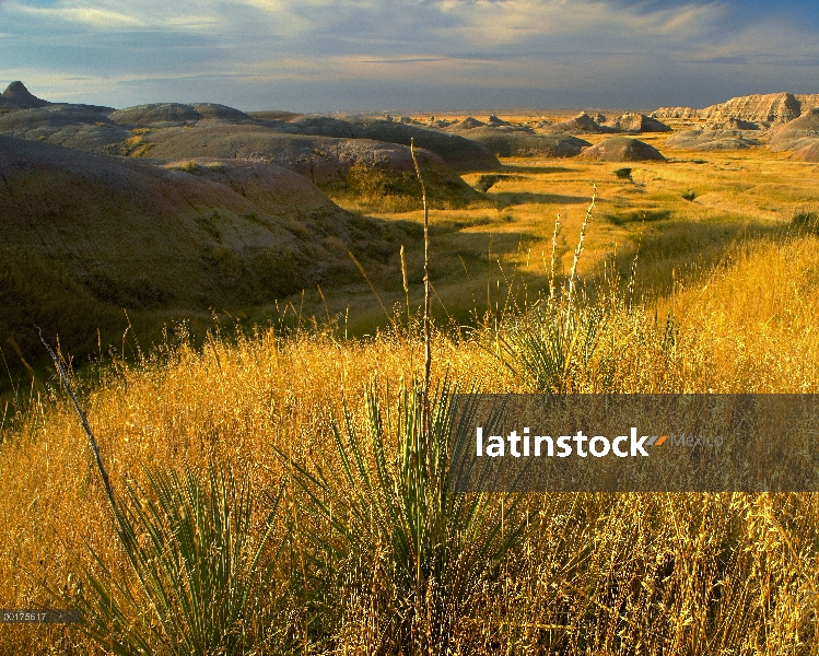 Cerros erosionados y pradera en el Parque Nacional Badlands, Dakota del sur