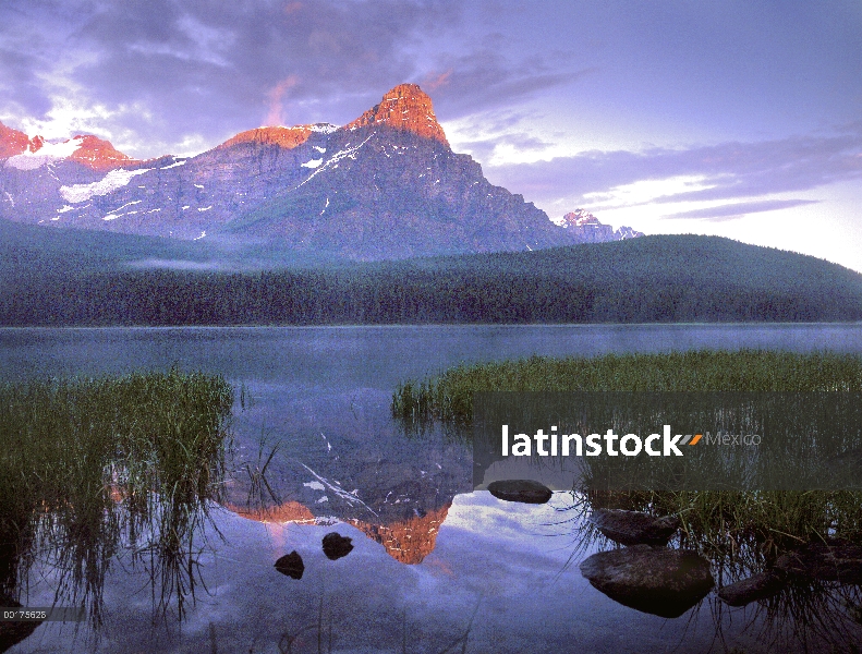 Mount Chephren refleja en lake, Alberta, Canadá