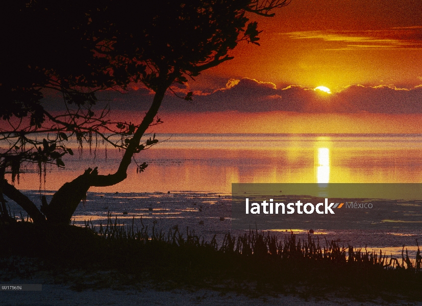 Puesta de sol sobre la playa, la Florida de Ana