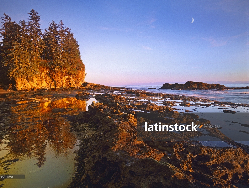 Pozas expuestos en bajamar, playa de botánico, Juan de Fuca Provincial Park, isla de Vancouver, Colu