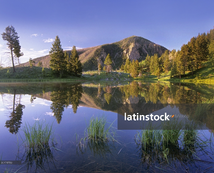 Pico de Bunsen refleja en el lago, Parque Nacional de Yellowstone, Wyoming