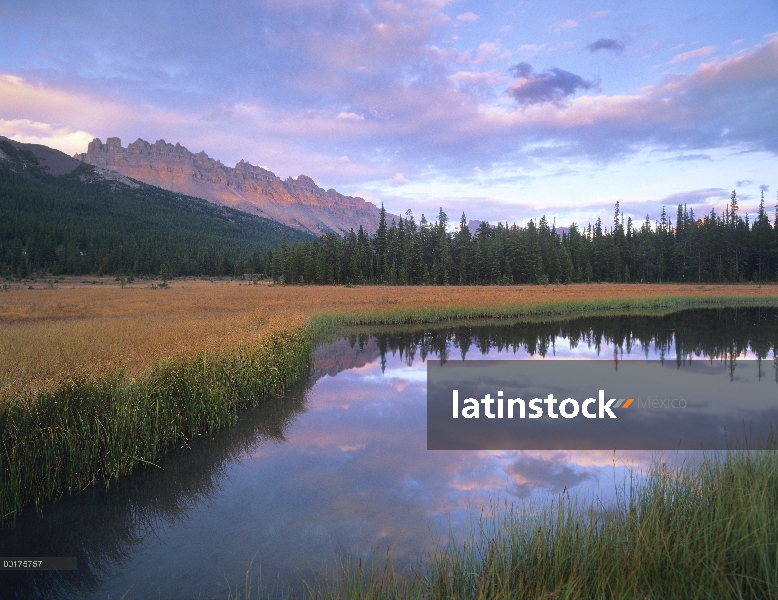 Pico de Dolomita y río Bow remansos, Parque nacional Banff, Alberta, Canadá