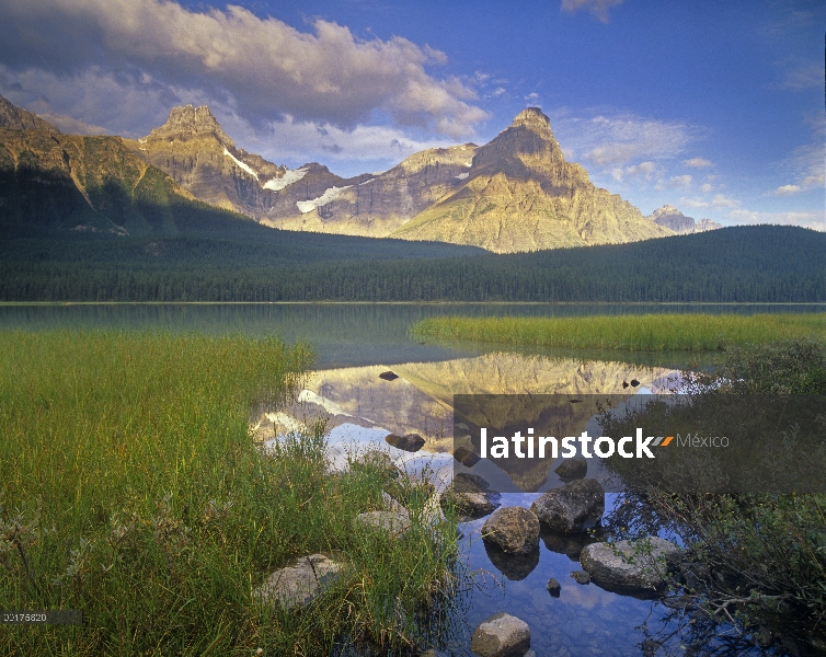 Cómose Peak y Mount Chephren, lago de aves acuáticas, Parque nacional Banff, Alberta, Canadá