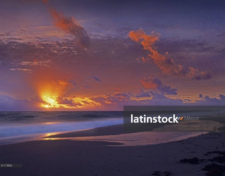 Playa de McArthur en sunrise, Florida