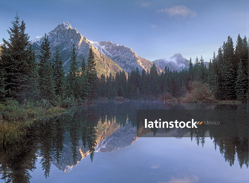 Montaje de Lorette y abeto árboles reflejan en lake, Alberta, Canadá