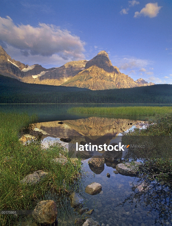 Mount Chephren y aves acuáticas del lago, Parque nacional Banff, Alberta, Canadá