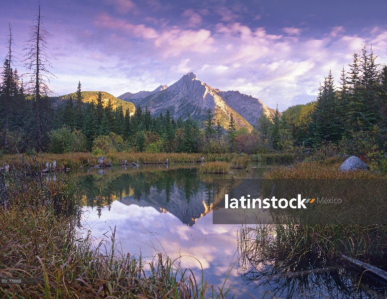 Montaje de Lorette y abeto árboles reflejan en lake, Alberta, Canadá