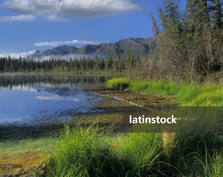 Nutzotin montañas y bosque boreal que se refleja en el lago de retroceso, Alaska