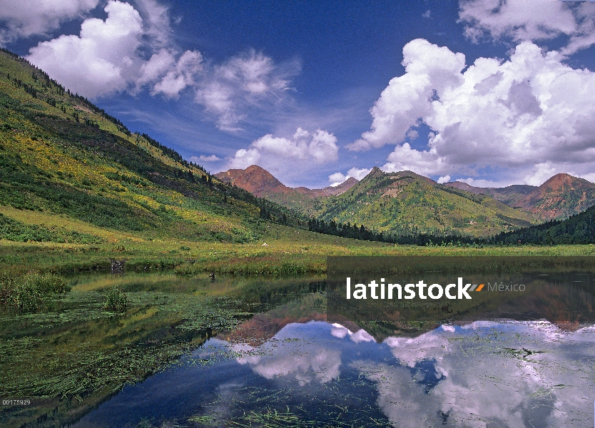 Serie rubí refleja en bosque nacional Lago Gunnison, Colorado