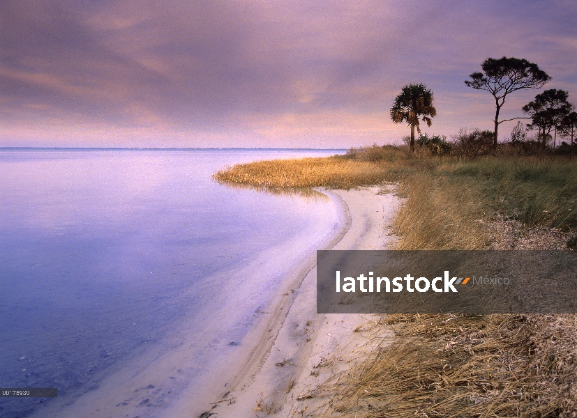 Playa de Bahía, la Florida de San José