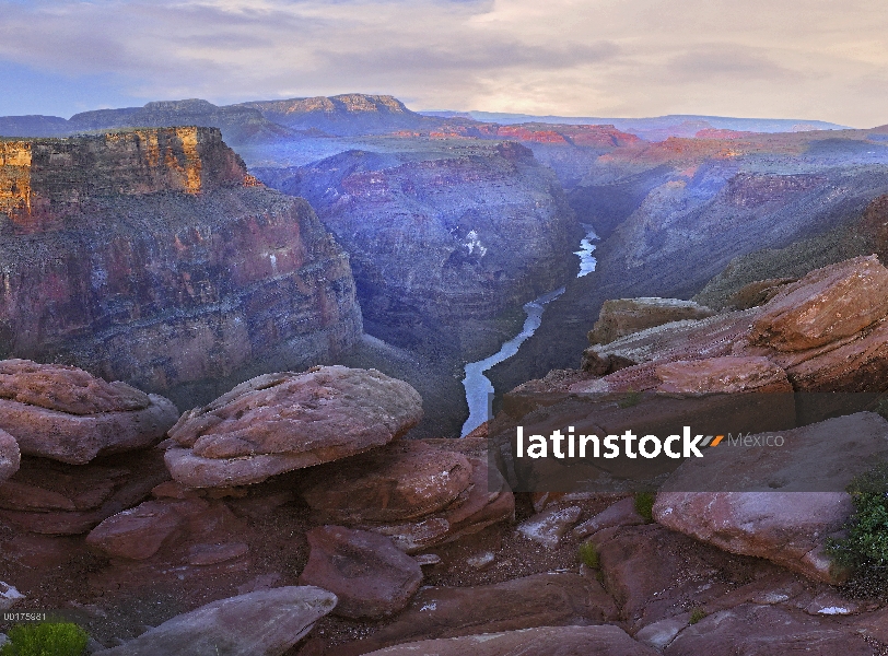 Vista de Toroweep mirador del río Colorado, Parque Nacional Gran Cañón, Arizona