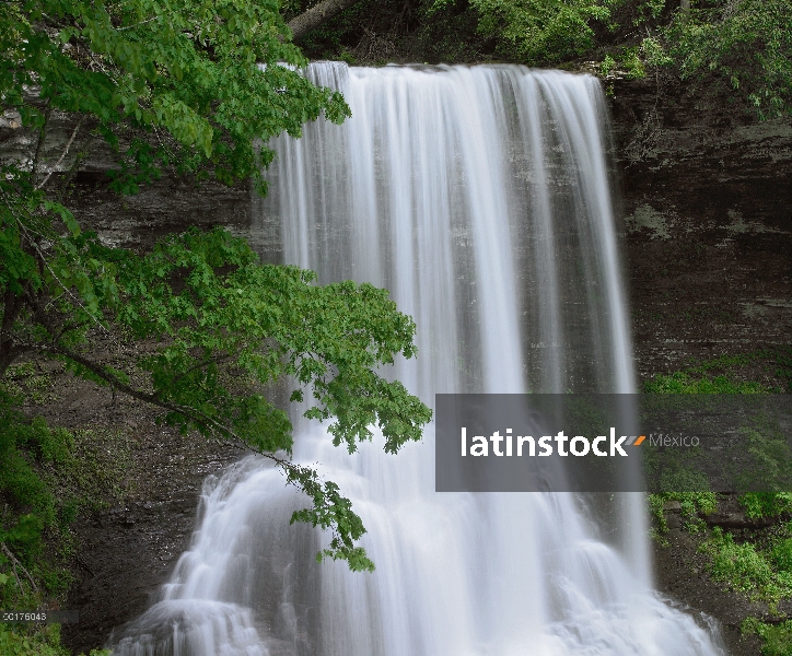 Cascada en el bosque nacional de Jefferson, Virginia