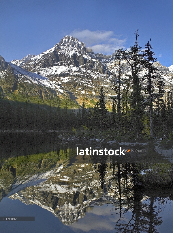 Montaje Huber reflejada en el lago con el bosque boreal, Parque Nacional de Yoho, Colombia británico