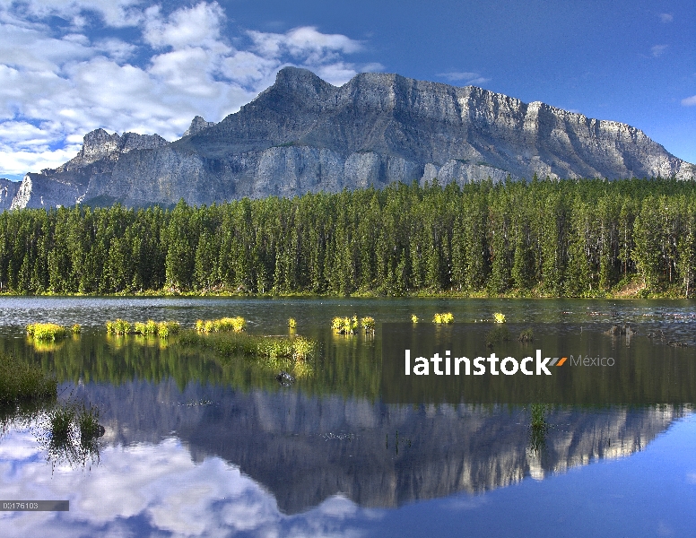 Monte Rundle y bosque boreal reflejada en el lago de Johnson, Parque nacional Banff, Alberta, Canadá