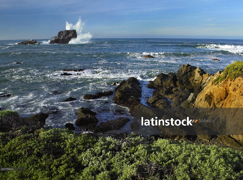 Seastack y costa rocosa en Point Piedras Blancas, California