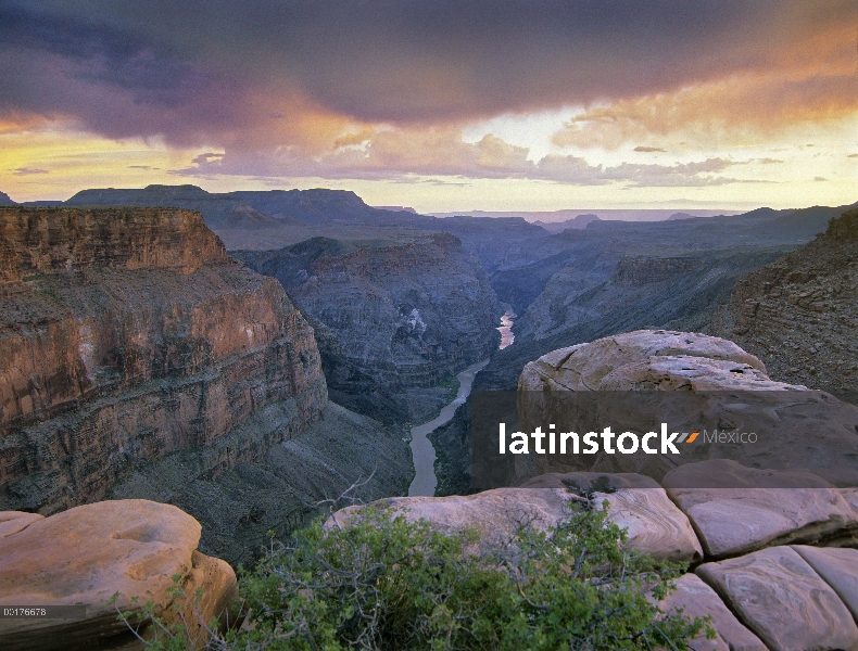 Mirador Toroweap con vistas del río Colorado, Parque Nacional Gran Cañón, Arizona