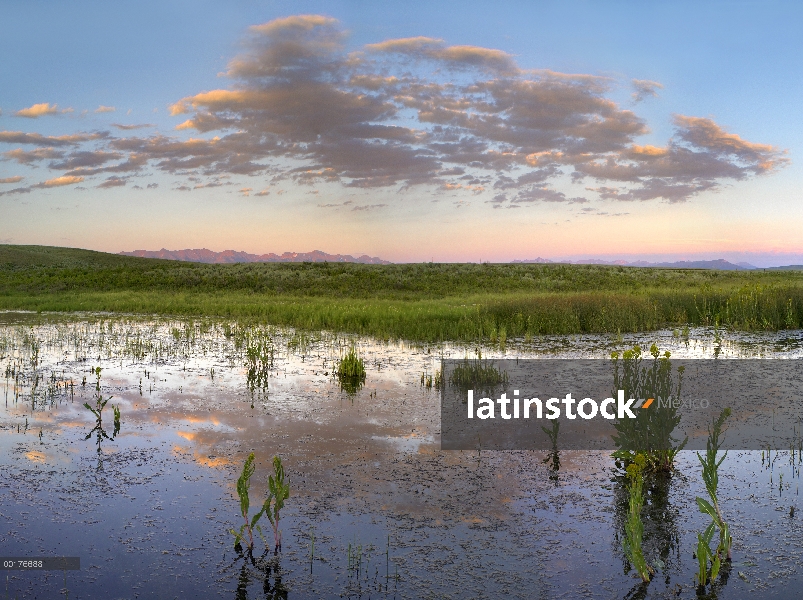 Reflejo de nubes en el agua, Arapaho National Wildlife Refuge, Colorado