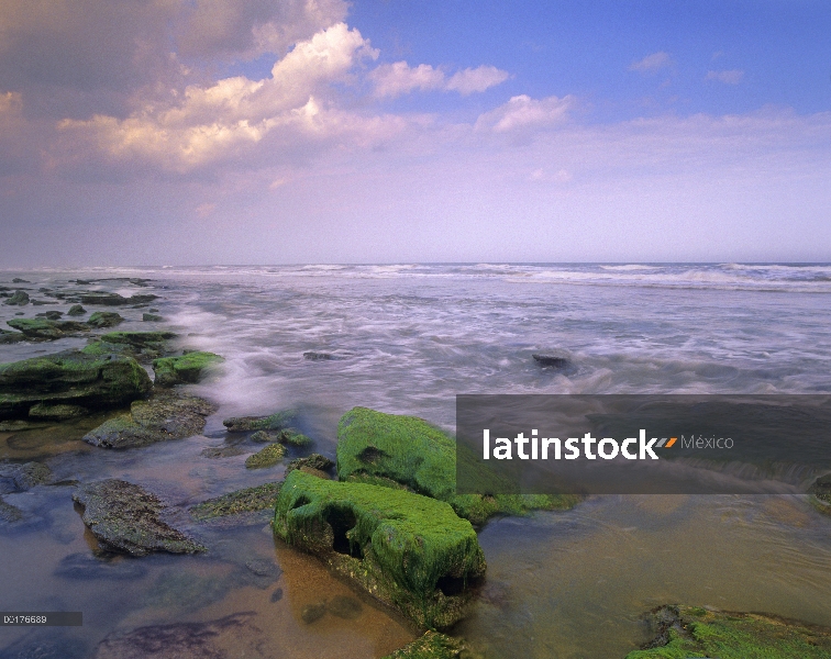 La playa de rocas en el Parque Estatal de Washington Oaks Gardens, Florida