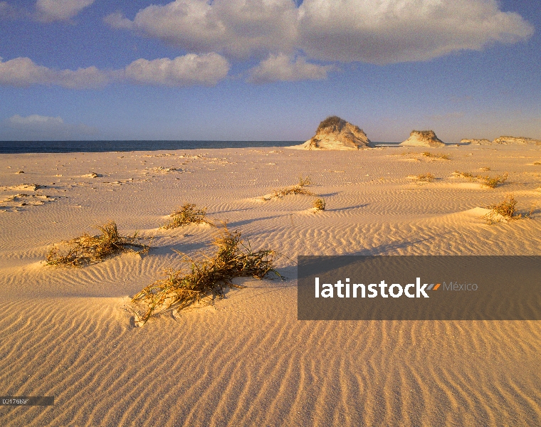 Dunas de arena en la islas del Golfo National Seashore, Florida